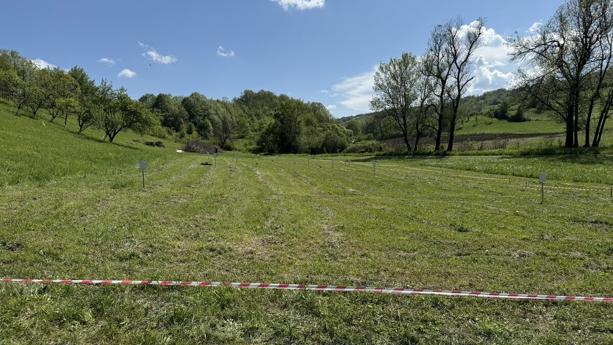 Serbia Open 2025 - teren